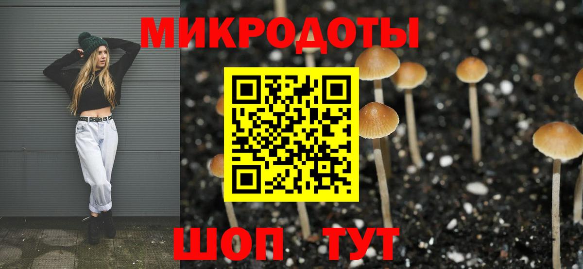 Псилоцибиновые грибы мухоморы  Вход с VPN  Зеленогорск  Псилоцибиновые грибы Psilocybine cubensis 